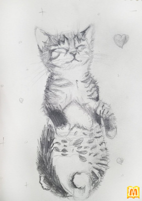 Мій котик