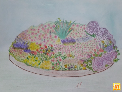 Моя клумба